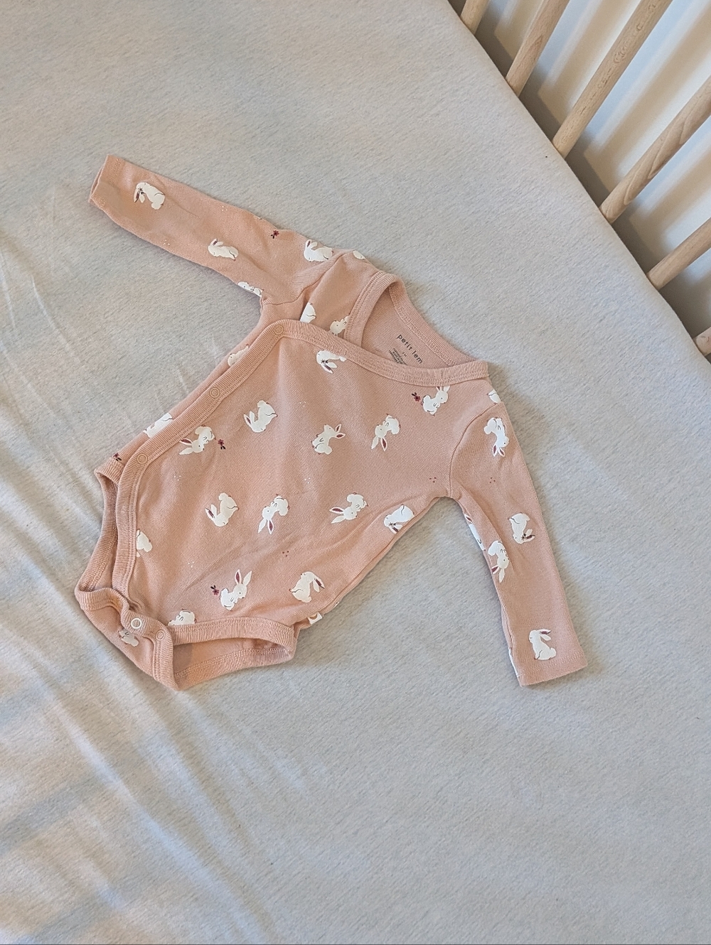Petit Lem 🌘 - 12M - Bunnies Long-Sleeve Pink Bunny One-Piece Bodysuit for Kids